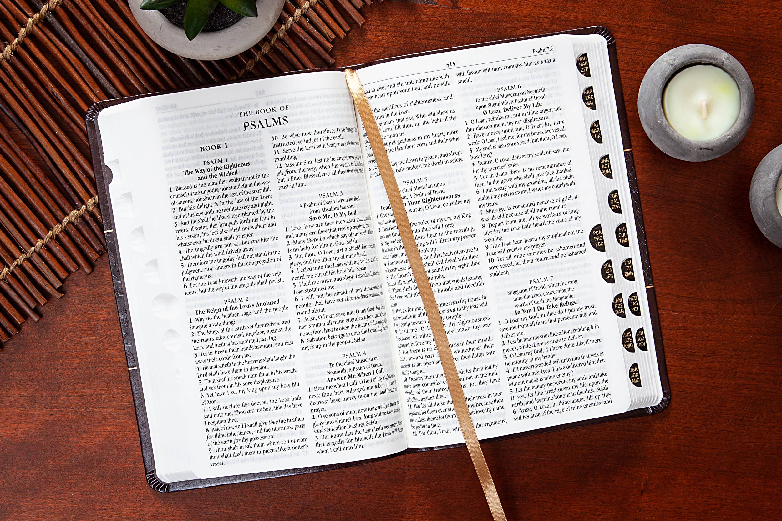 KJV Bible - Mulberry - Standard Size