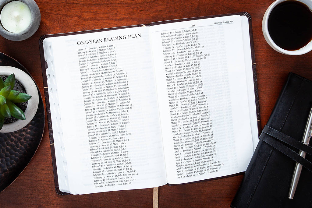 KJV Bible - Mulberry - Standard Size