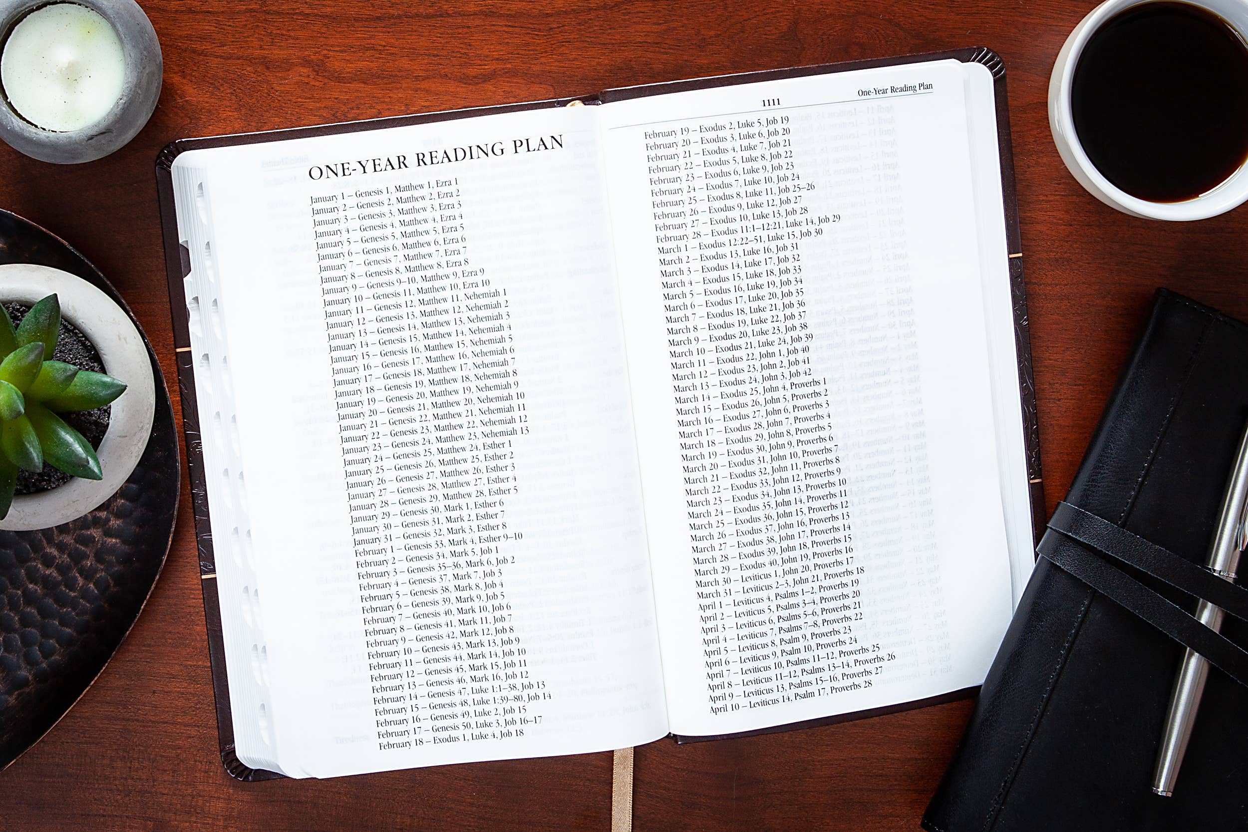 KJV Bible - Mulberry - Standard Size