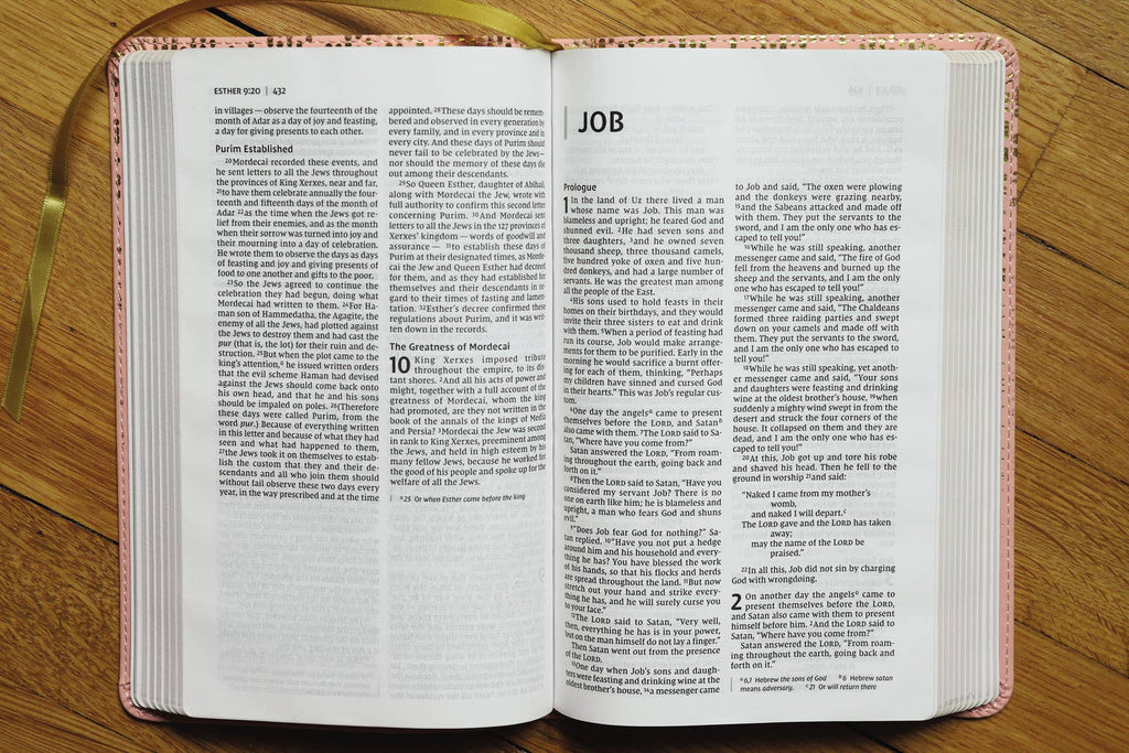 NIV Bible For Teens, Thinline Edition, Pink Leathersoft