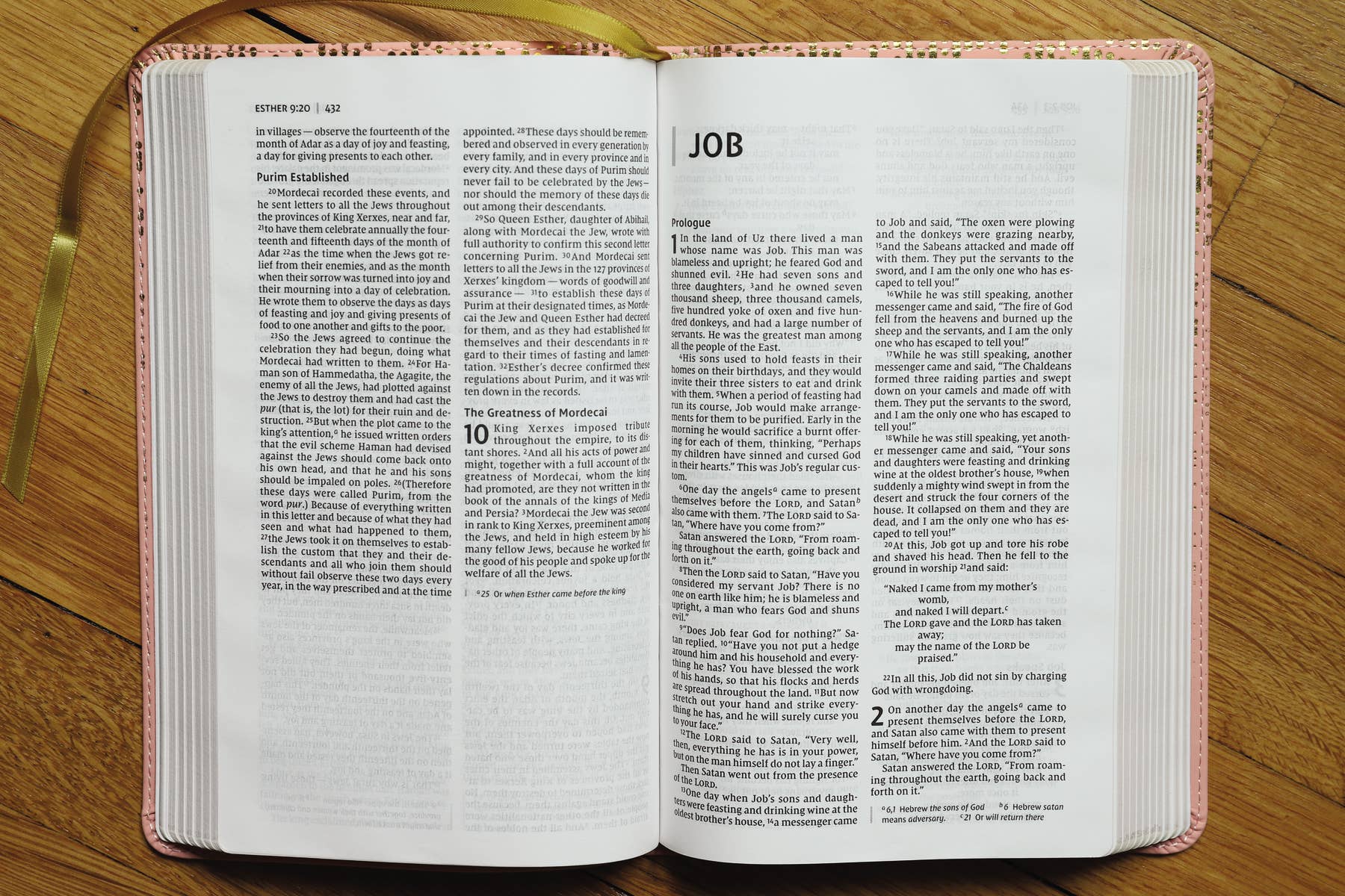 NIV Bible For Teens, Thinline Edition, Pink Leathersoft
