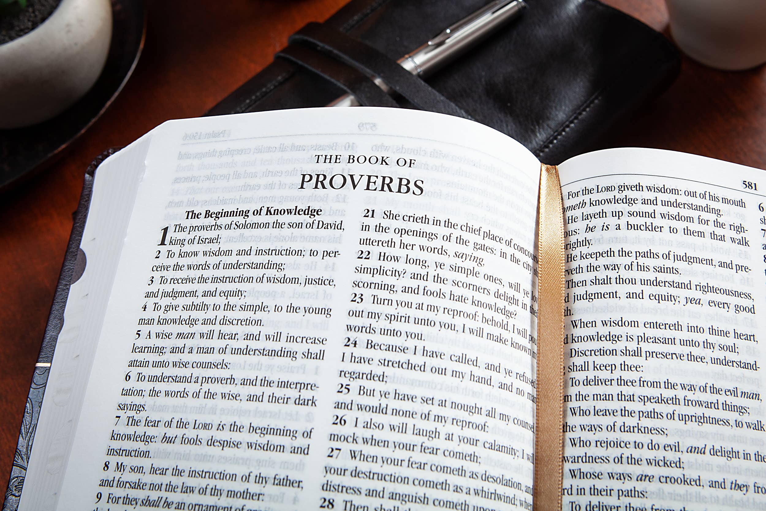 KJV Bible - Mulberry - Standard Size